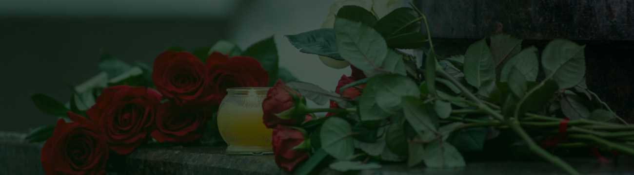 Shop Banner